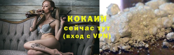 твердый Корсаков