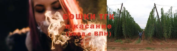 крисы Костерёво