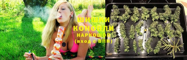 твердый Корсаков